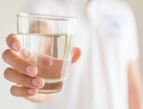 Calming Your Nervous System: From Cycles of Stress to Cycles of Trust